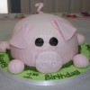 pig1